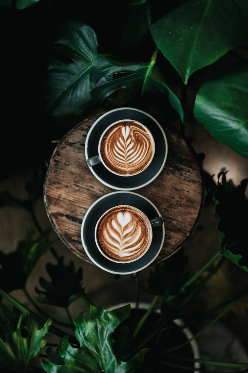 Two cappuccinos with rosetta latte art on a round wooden table, framed by dark tropical leaves.